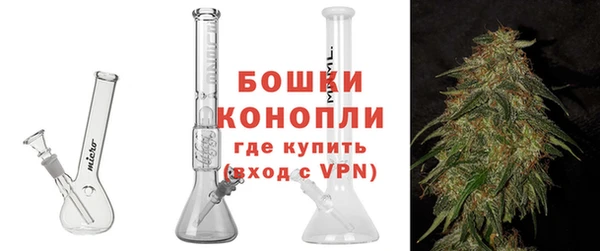 ПСИЛОЦИБИНОВЫЕ ГРИБЫ Верея