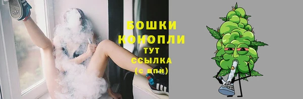 дурь Белокуриха