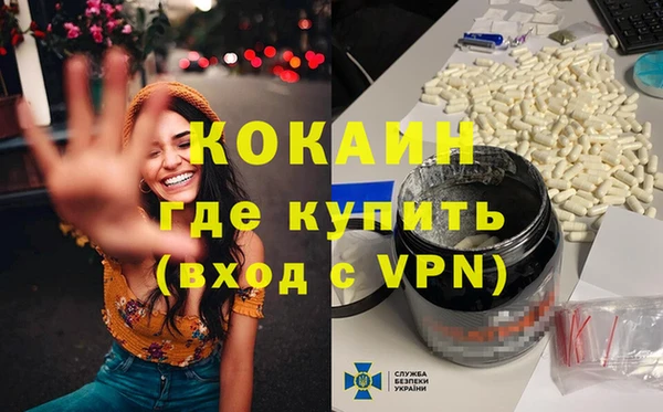 ПСИЛОЦИБИНОВЫЕ ГРИБЫ Верея
