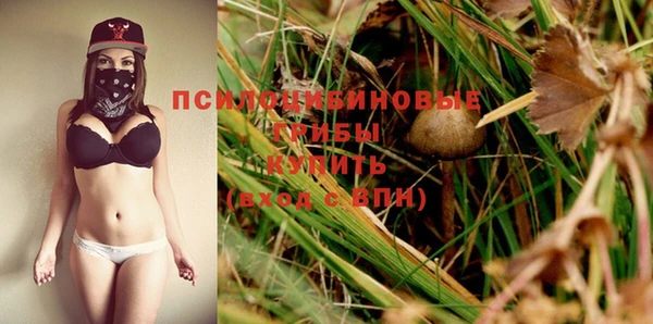 ПСИЛОЦИБИНОВЫЕ ГРИБЫ Верея