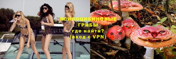 твердый Бронницы