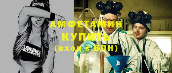 ПСИЛОЦИБИНОВЫЕ ГРИБЫ Верея
